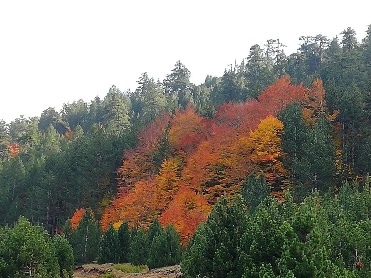 Mystic Lake Koukkoúlion Dış mekan fotoğraf